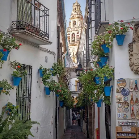 Apartment Flor De