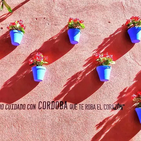 Flor De * Cordoba